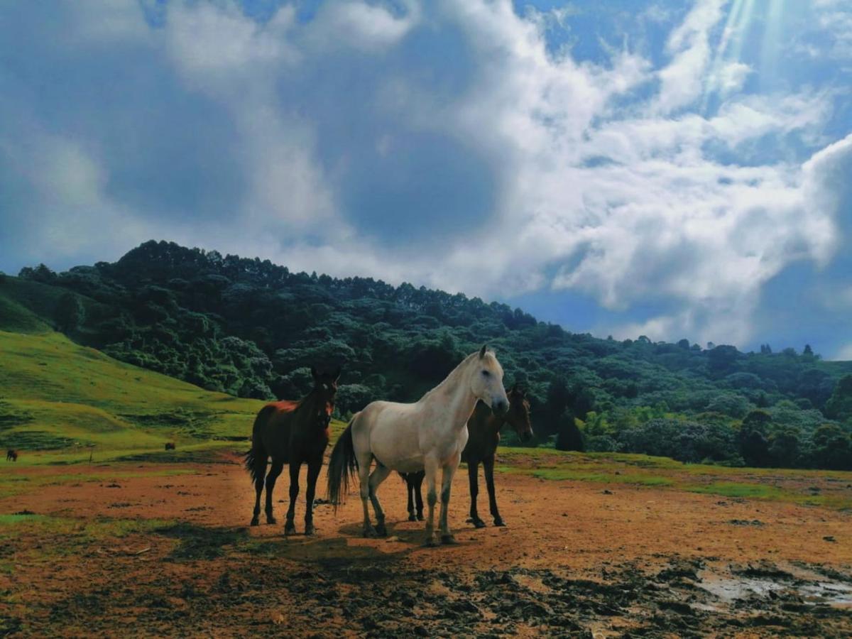 Finca Recreacional Marcelandia Санта-Роса-де-Кабаль Экстерьер фото